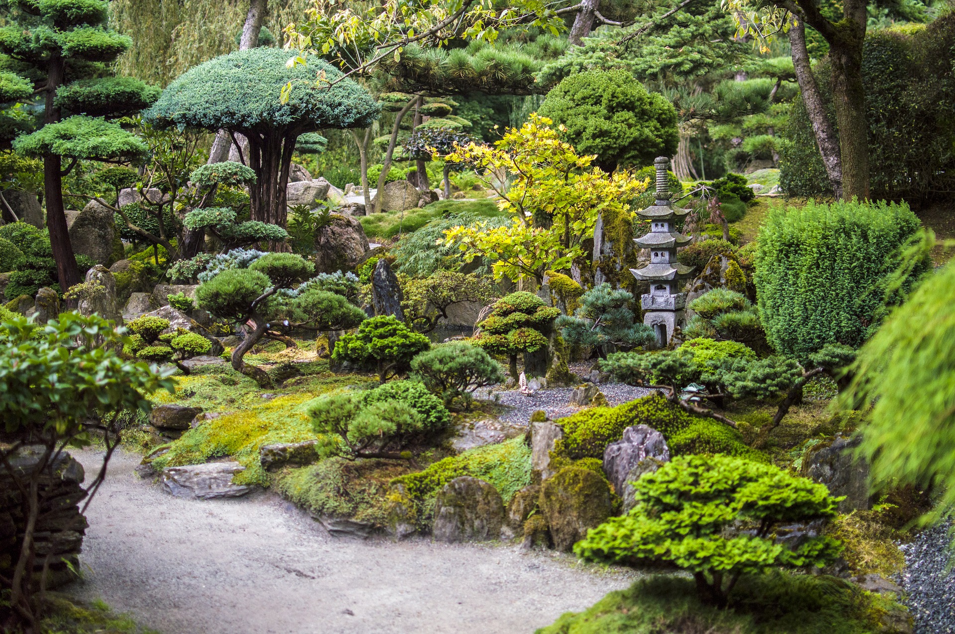 El Efecto Beneficioso De Observar Jardines Japoneses Para La Demencia Tu Cerebro